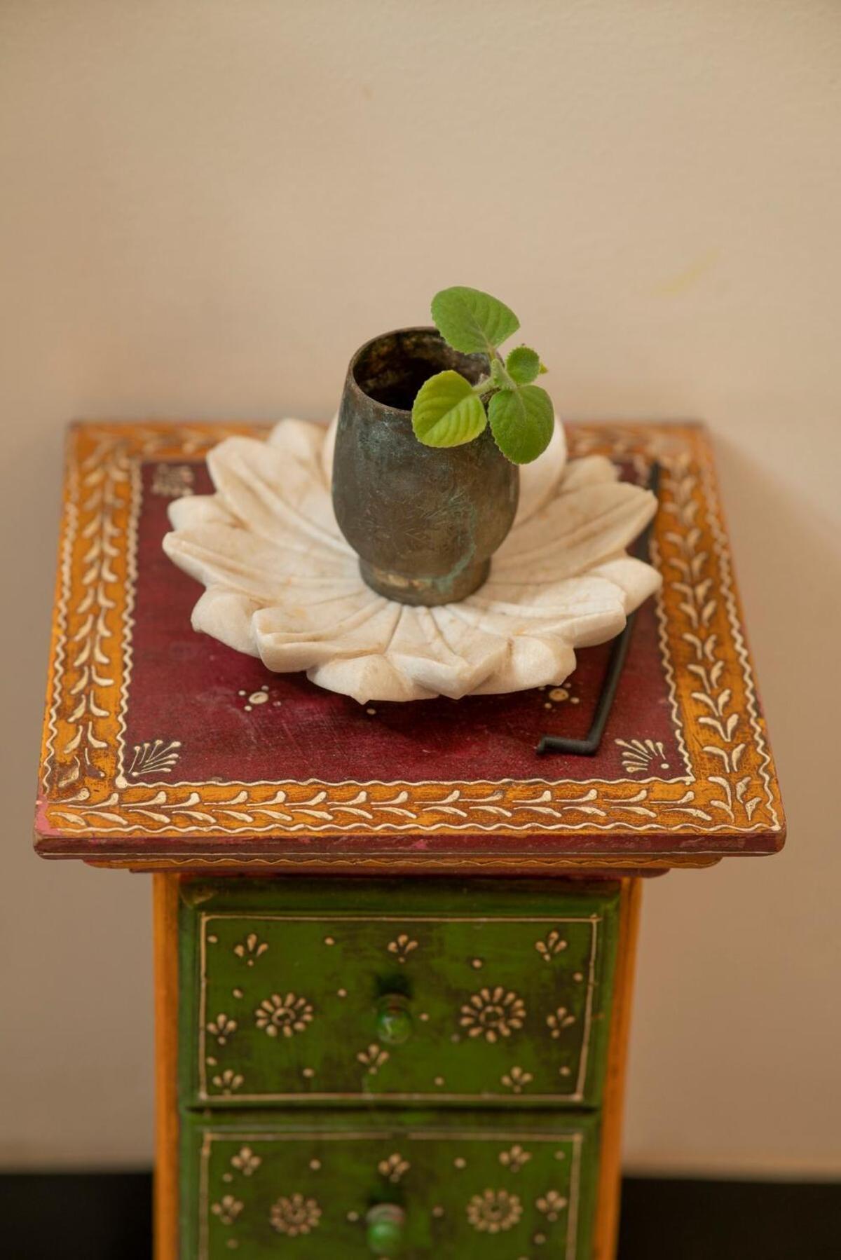 Santosh Villa - The House Of Antiques And Art Udaipur Eksteriør billede